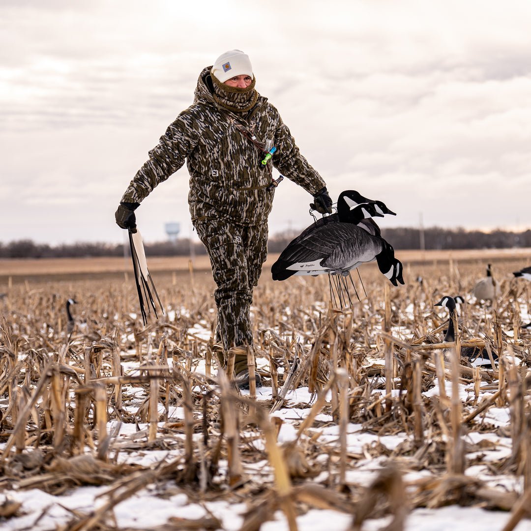 #color_original-bottomland