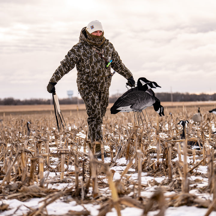#color_original-bottomland