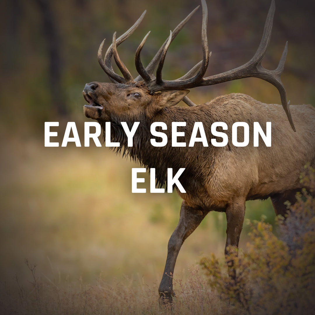 Early Elk