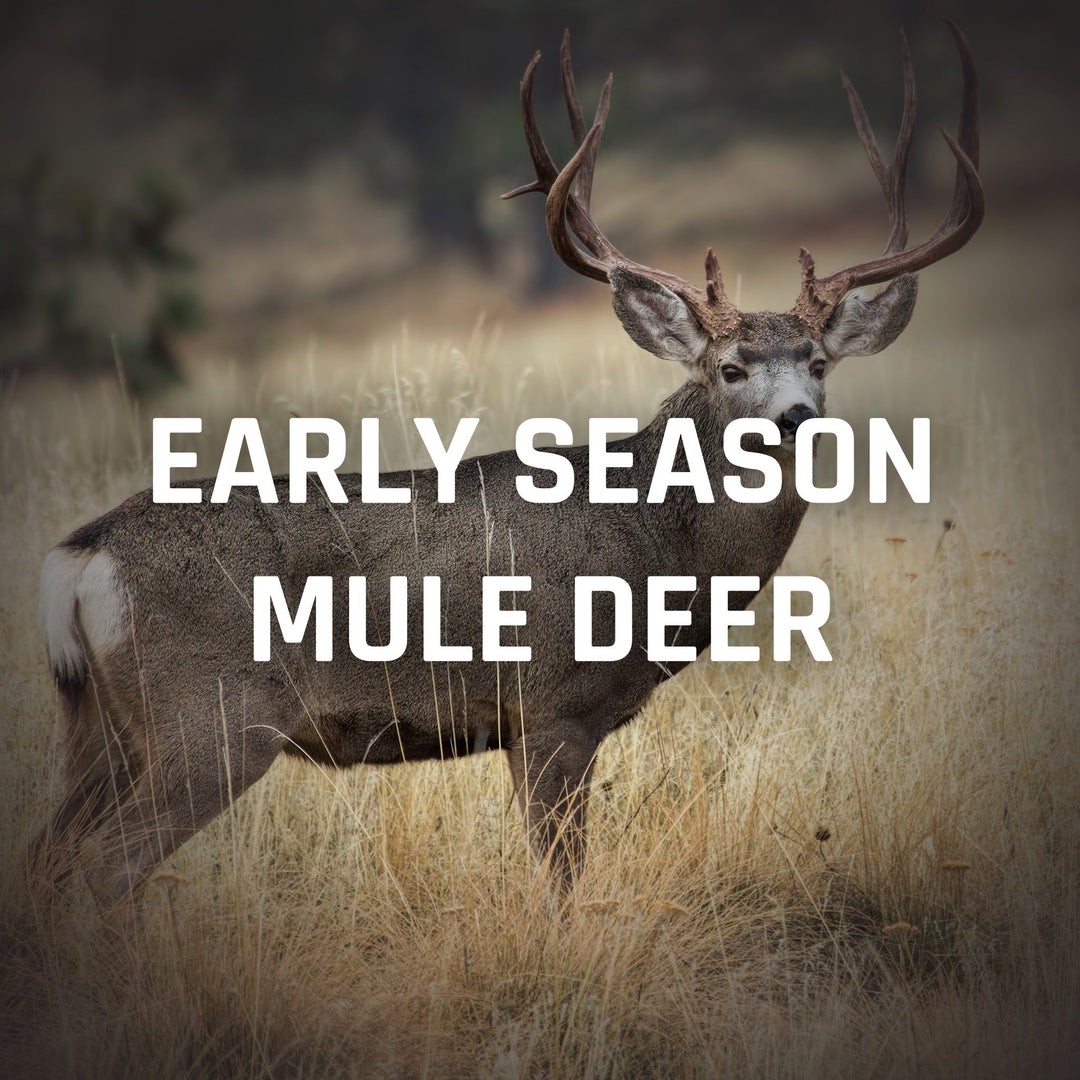 Early Mule Deer Recommendations