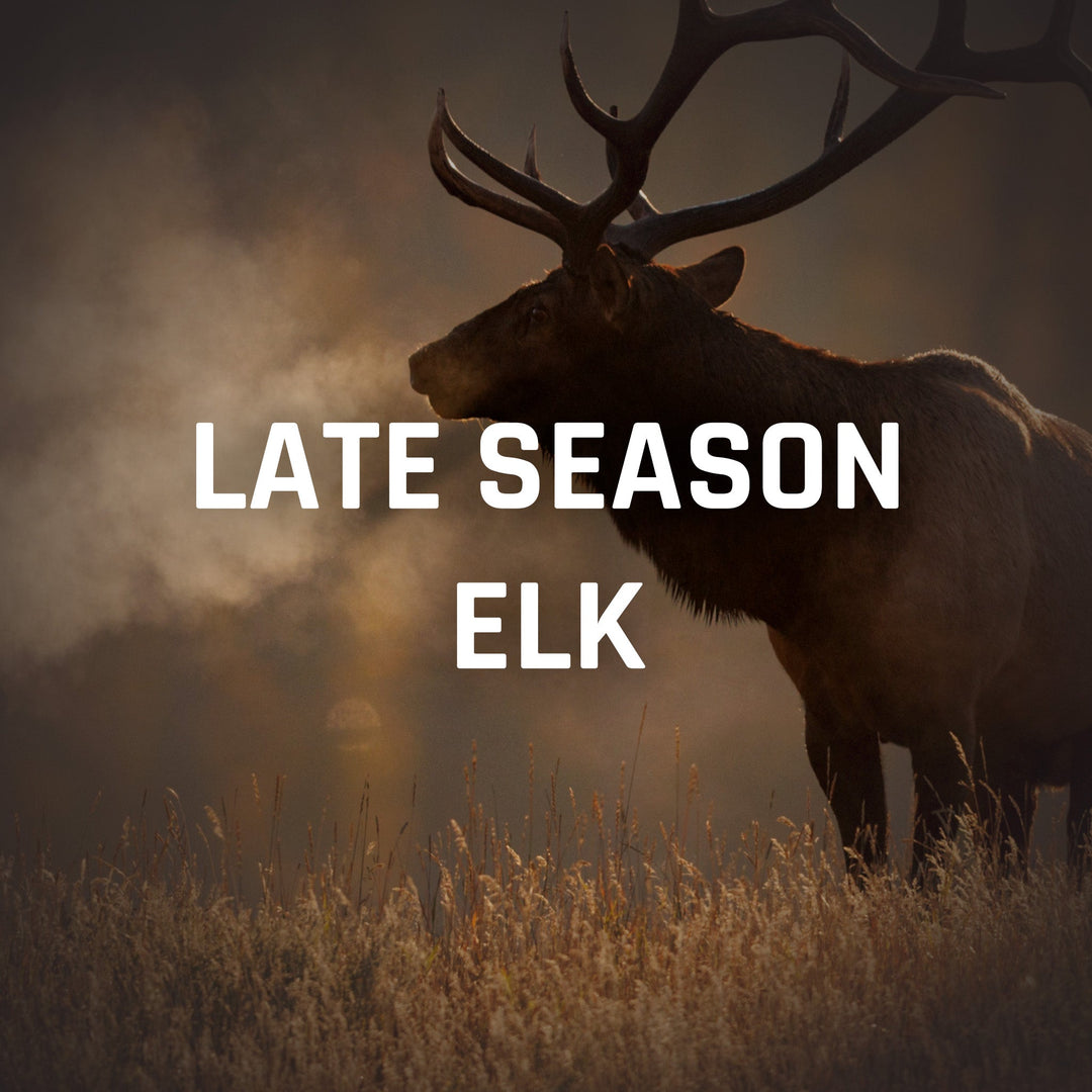 Late Season Elk Recommendations