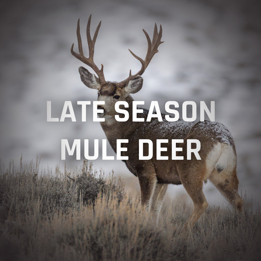 Late Season Mule Deer Recommendations