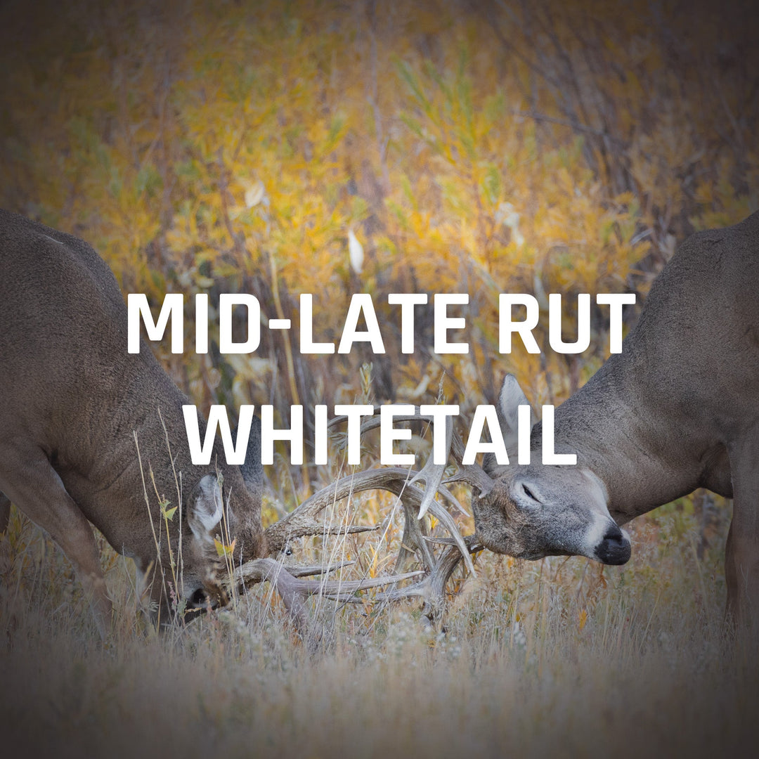 Mid-Late Season Whitetail Rut Recommendations