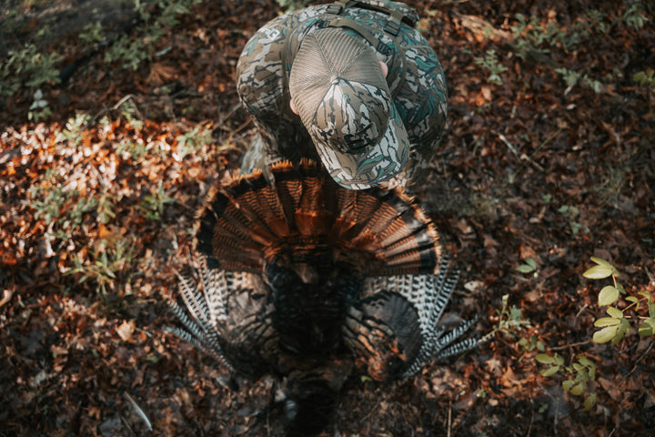 Mossy Oak Green Leaf Meshback Logo Hat