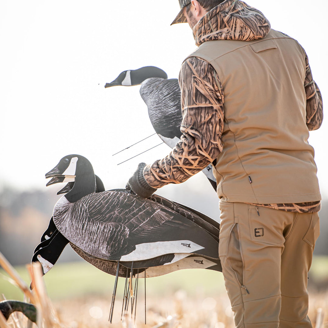 #color_original-bottomland