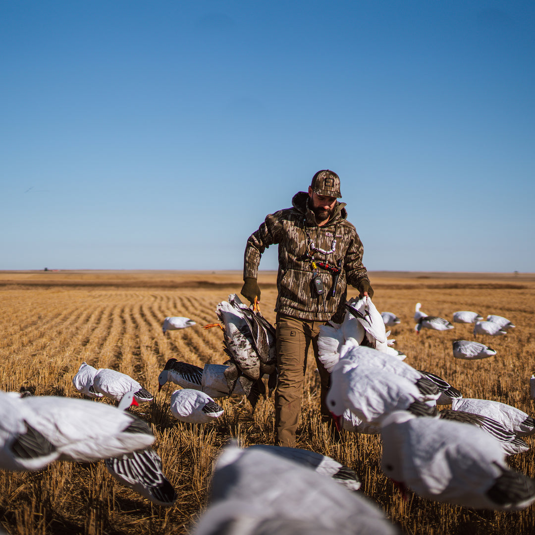 #color_original-bottomland
