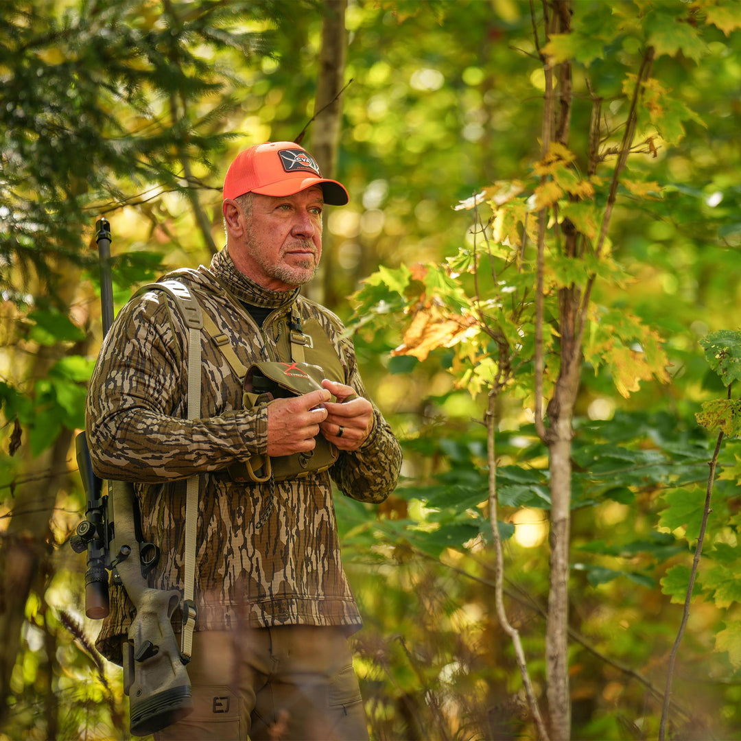 #color_original-bottomland